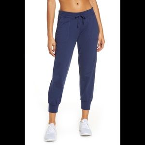 RARE Patagonia Ahnya Fleece Pants size XS